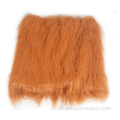 Costume de chien de cheveux de lion mane